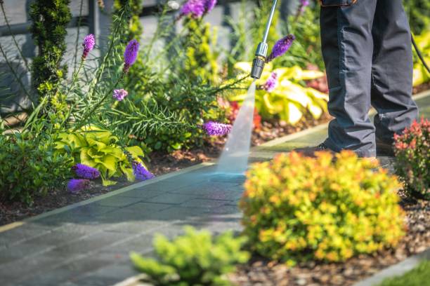 Best Driveway Pressure Washing  in Olivehurst, CA